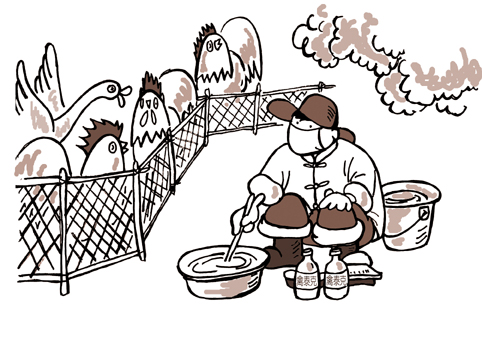 防禽流感给鸡吃啥药-禽流感-北方网-健康之家