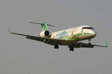 失事的东航云南分公司CRJ200型飞机(图)