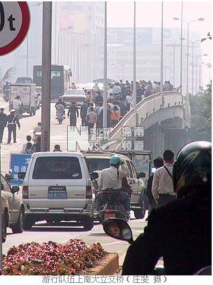 不满生存现状 3000多名海南导游和司机抗议-导