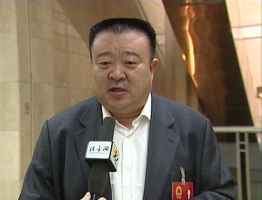 张振宏代表:农村亟需加强党员先进性教育
