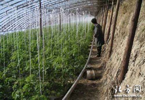天津市开展蔬菜水肥一体化高效节水项目-原创