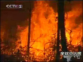 云南香格里拉发生森林火灾一名灭火武警牺牲