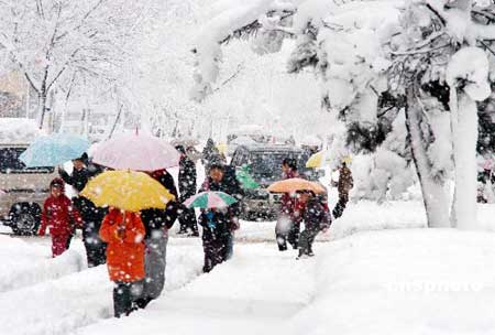 吉林延邊遭暴雪襲擊局部仍有強降雪(組圖)
