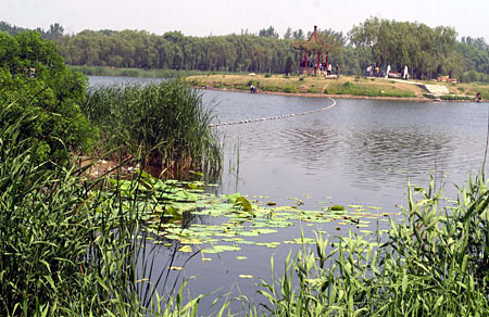 南湖公園：“迪拜國際改善居住環境最佳範例獎”
