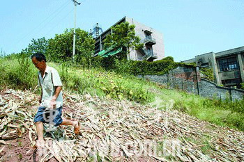 重慶北碚汞污染嚴重耕地裏能挖出水銀(圖)