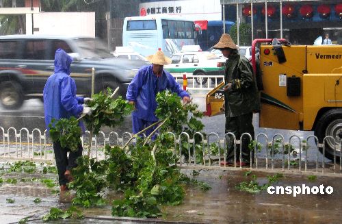 ̨���ɱȰ������ڹ㶫��½���ķ�����12��