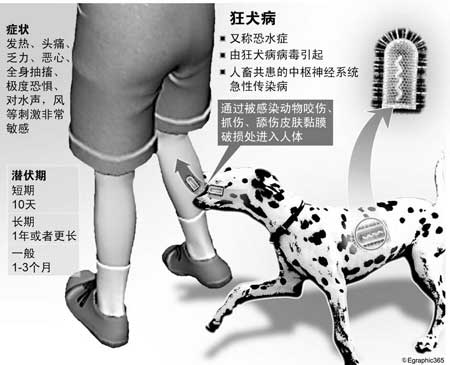 北京制定防治狂犬病應急預案貓狗進京先測體溫