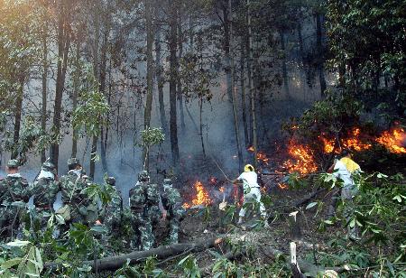 重慶渝北區發生森林火災過火面積近1000畝(圖)