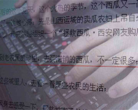 央視《社會記錄》拯救西瓜