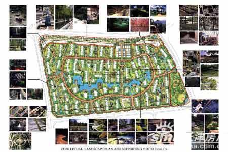 水域·未来城启动全面园林造景工程-水域未来城