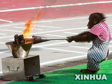 組圖：第四屆全國動物運動會在上海開幕