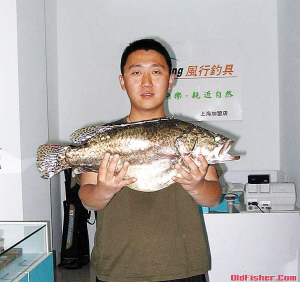 天津桂鱼均来自外地 是否含有孔雀石绿有待调