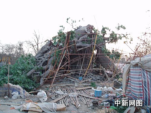 山西洪洞景區雕塑突然倒塌致1死2傷(圖)