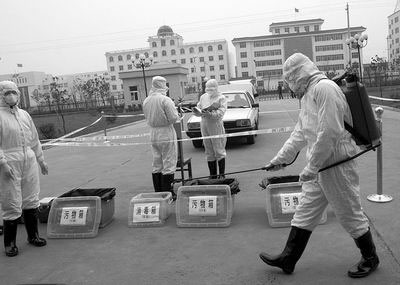 鄭州洛陽擬禁止市場銷售活禽防控禽流感(圖)