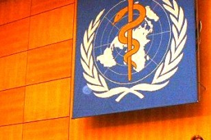 臺當局今年放棄世衛觀察員申請(圖)