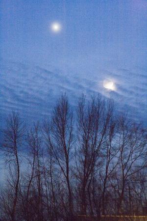 組圖：吉林市天空上演金星合月奇景
