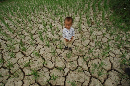 組圖：湖北襄樊近400萬畝農作物受旱