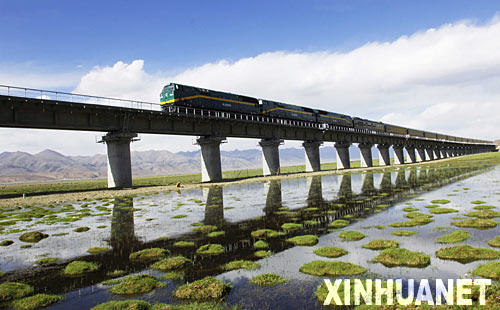一列火車行駛在藏北草原上，以橋代路有效地保護了高原生態（6月26日攝）。 7月8日，世界上海拔最高、凍土線路最長的鐵路――青藏鐵路正式通過國家驗收，施工質量、環境保護等各項指標符合要求。