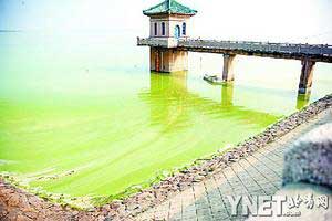 新立城水庫水呈綠色