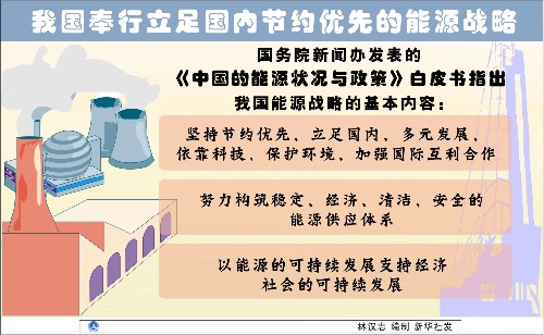 图表:我国奉行立足国内节约优先的能源战略 新华社发