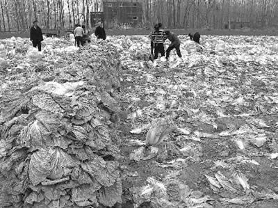 ���������ڽ�ײ�����˷���������(ͼ)