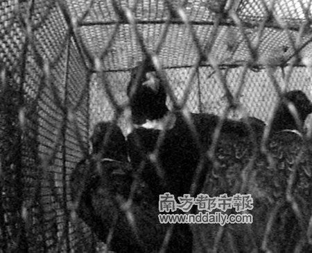 廣東國家森林公園門口餐館公開宰售野生動物