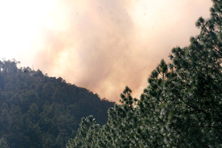 雲南香格里拉藏區森林火災蔓延危及國家公園