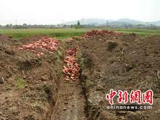 江苏徐州强铲数百亩麦田建房 即将丰收麦子被