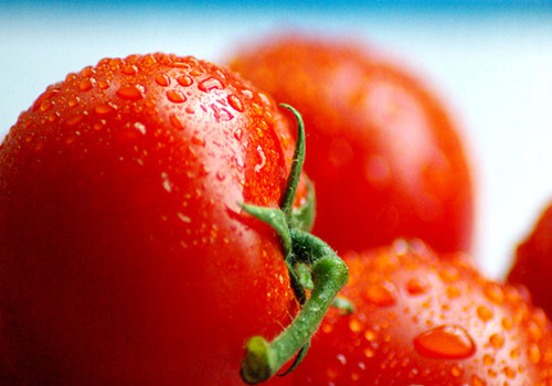 晚餐吃一个番茄 三个月疯瘦15斤-番茄,西红柿