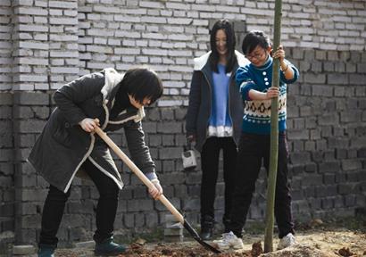 种一棵树植一片绿-湖北,武汉,高考,中考,教育,科