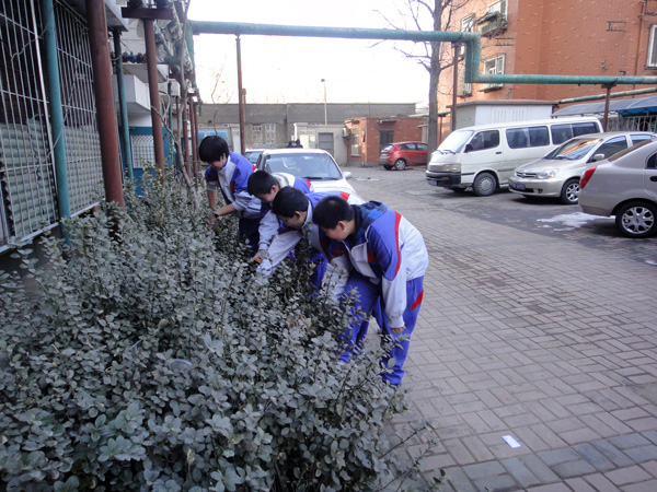 绽放青春 奉献社会--学雷锋小志愿者在行动--