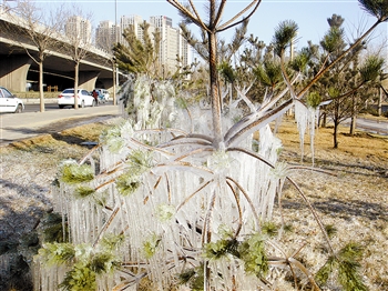 天津:南翠屏公园喷淋灌溉草坪 形成春季冰挂-冰