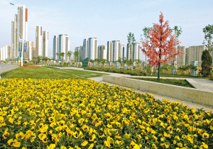 图文:天津滨海新区塘沽海洋高新区城市景观大