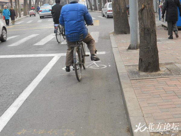 网友实拍:津城最窄自行车道 宽度仅1.45米-网