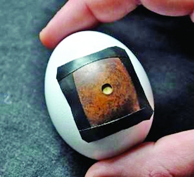 在蛋壳上相片,你见过吗-鸡蛋壳,印照片,就可以