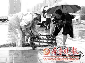 济宁地区旱情基本解除-济宁市,地质灾害,降雨量