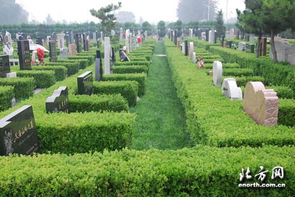永安公墓播报:园区换新绿 环境更舒适美丽-永
