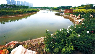 临港生态湿地公园水系工程完工十一开放-湿地公园