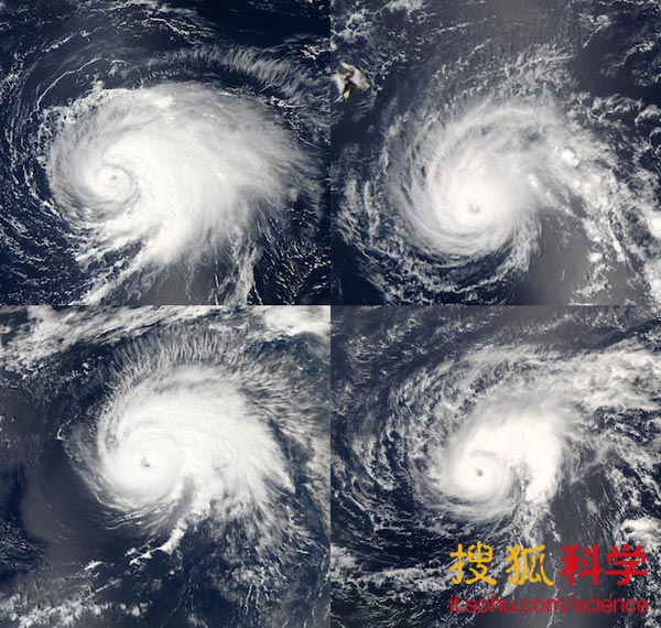 为什么几乎所有的台风看起来都非常相似-台风