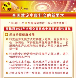 胡锦涛代表第十七届中央委员会作报告摘登(图