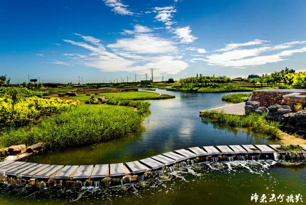 网友实拍:临港生态湿地公园开放 美景令人流连