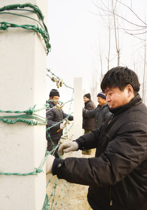 天津市农村水生态环境建设调查:保护清水在行