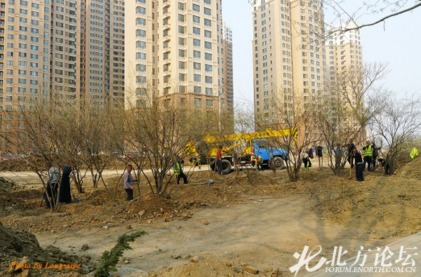 网友实拍:河北区诗景公园开建 提升绿化水平