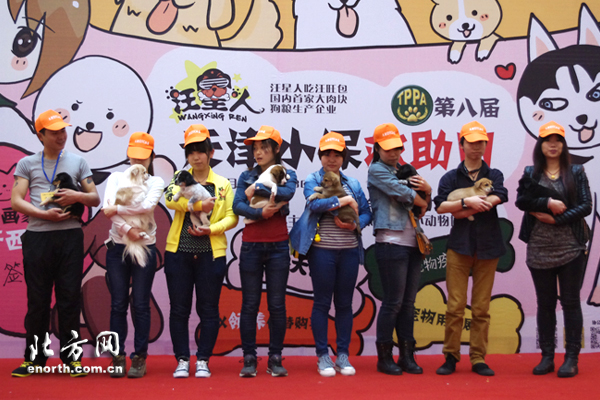 首届天津爱宠日 救助流浪动物公益基金成立