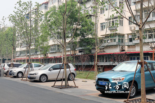 天津社區改造添綠蔭停車位 汽車戴上“遮陽帽”