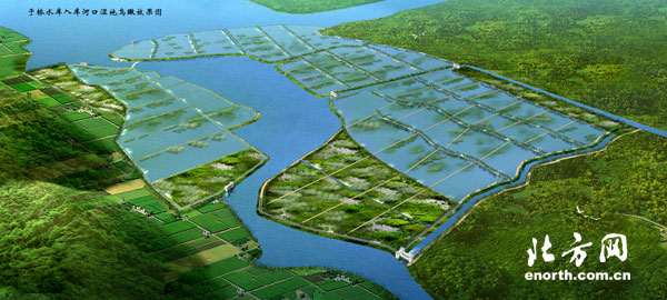 京津冀水资源保护联合报道：再造湿地 天人合一算好生态账