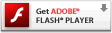 ��װ���µ�Flash player