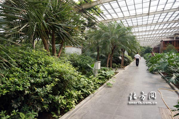 天津打造都市農業主題公園 休閒娛樂再添好去處