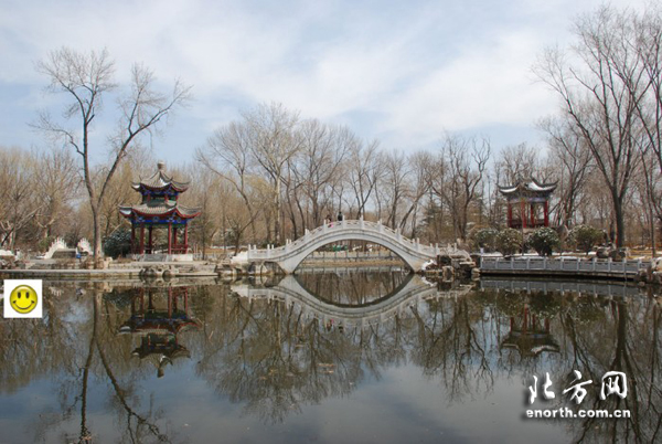 攝影大賽作品賞析：西沽公園的四季色彩