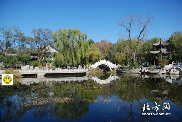 攝影大賽作品賞析：西沽公園的四季色彩